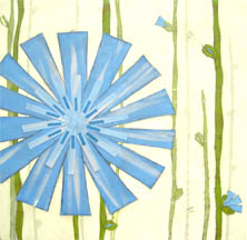 chicory
