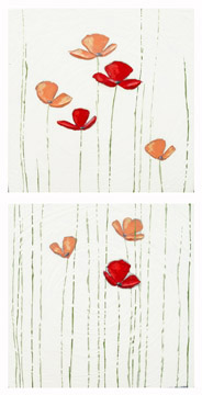 red poppies