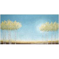 birch