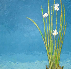 paperwhites