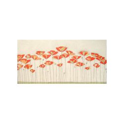 poppy field