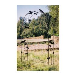 raven arch